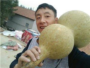 沂水吃瓜视频,揭秘乡村生活趣味瞬间