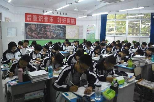 衡中吃瓜,揭秘校园里的那些“瓜”