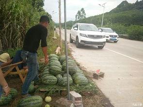 跳楼搬凳子吃瓜,一场另类娱乐的狂欢