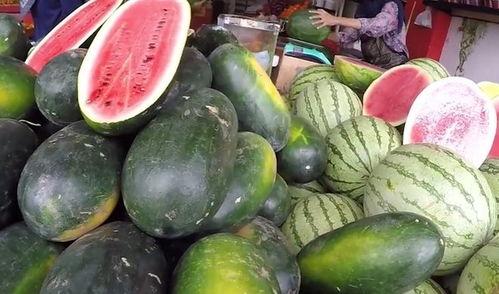 广东吃瓜自由,畅享“吃瓜自由”,品味多元美食文化