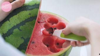 鲨鱼吃的瓜,揭秘海洋霸主钟爱的神秘瓜果