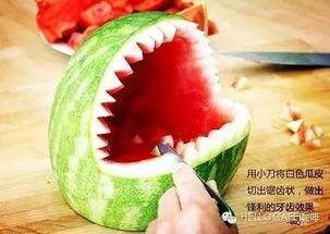 鲨鱼吃的瓜,揭秘海洋霸主钟爱的神秘瓜果