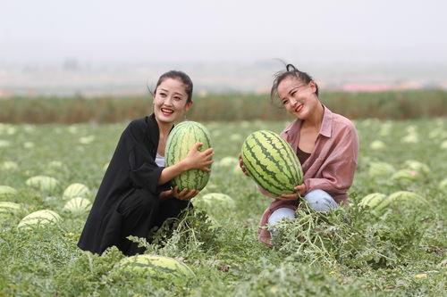 班里蒙眼吃瓜,揭秘班级趣味互动瞬间