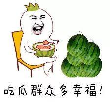 吃瓜群众应该吃什么瓜,吃瓜群众必尝的清凉瓜果大盘点