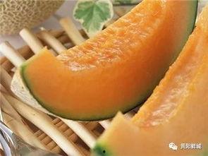 吃瓜只吃哈密瓜可以吗,吃瓜新风尚