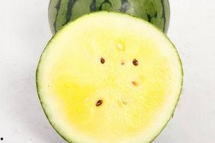 叫瓜孕妇吃,孕妇如何科学食用叫瓜