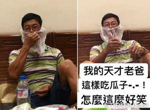 搞笑的乌鸦吃瓜,瓜田里的欢乐食客