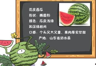 我们文明吃瓜,品味生活新风尚