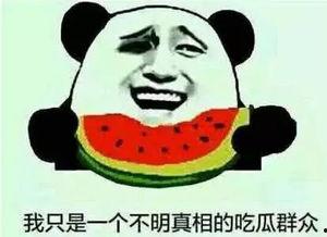 我们文明吃瓜,品味生活新风尚