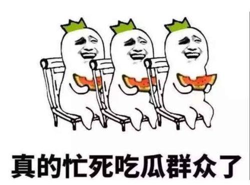 吃瓜群众集合文案,揭秘娱乐圈幕后风云